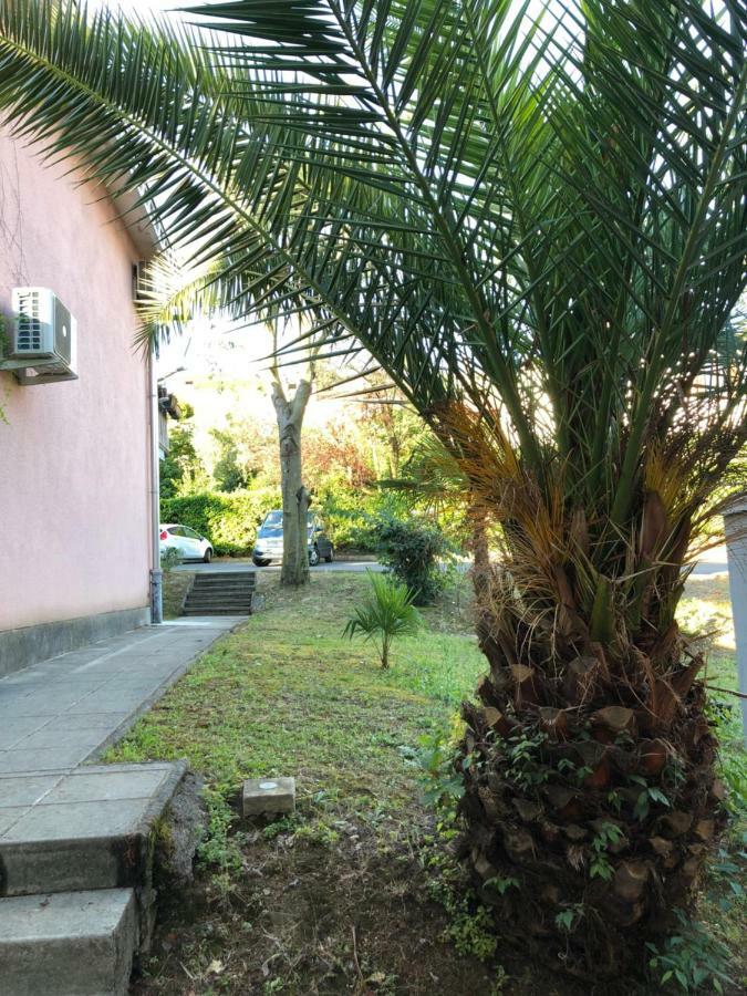 コペルApartmajsko Naselje Zusternaアパートメント エクステリア 写真